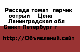 Рассада(томат, перчик острый) › Цена ­ 100 - Ленинградская обл., Санкт-Петербург г.  »    